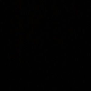 Meet your Posher, Brittney